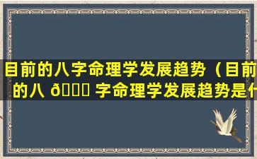 目前的八字命理学发展趋势（目前的八 🐋 字命理学发展趋势是什么）